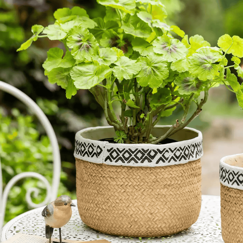Patterned Rattan Cement Planter