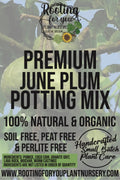 June Plum Premium Potting Mix