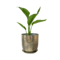 Jo Metal Planter With Drainage Hole