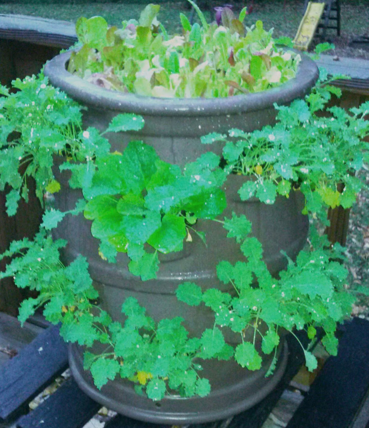 Patio Pocket Planter With Center Watering Tube "Chocolate Brown"