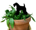 Kerry Blue Terrier Plant Stake