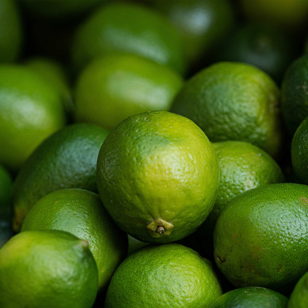 Key Lime Tree (FL)