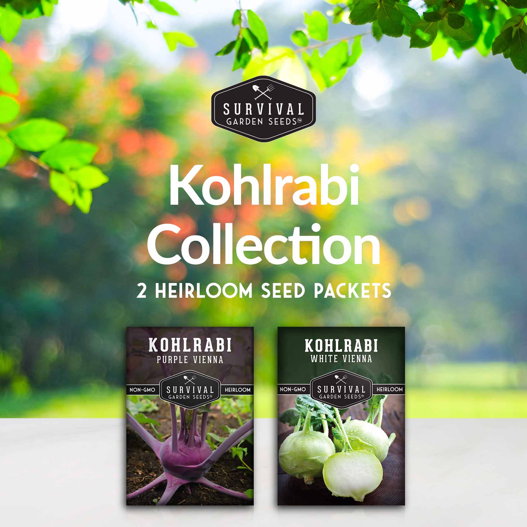Purple & White Kohlrabi Seed Collection – Cool-Season Biennial Vegetables for Crisp, Mild, Turnip-Like Flavor
