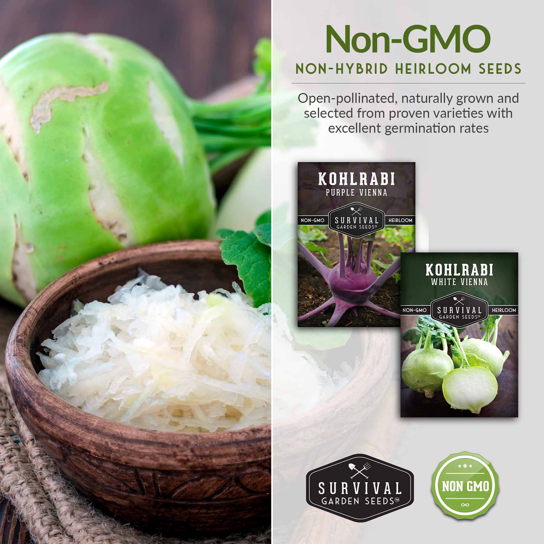 Purple & White Kohlrabi Seed Collection – Cool-Season Biennial Vegetables for Crisp, Mild, Turnip-Like Flavor