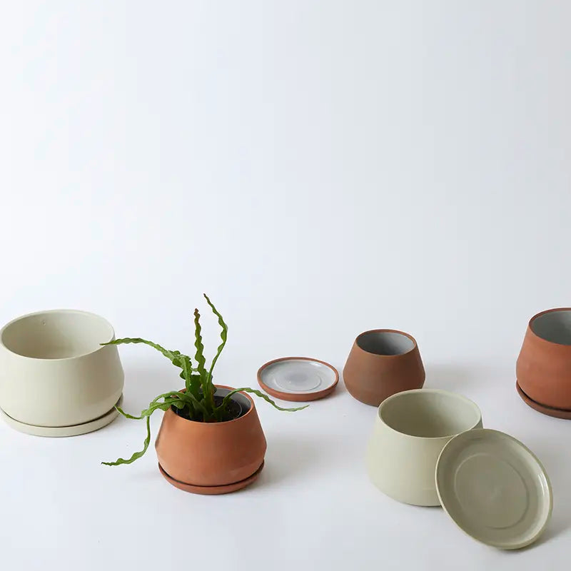 The Rancho Planter