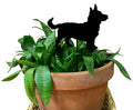Lancashire Heeler Plant Stake