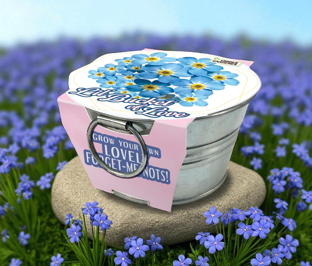 Lil' Bucket of Love - Grow Your Own Forget-Me-Nots Multipack of 3
