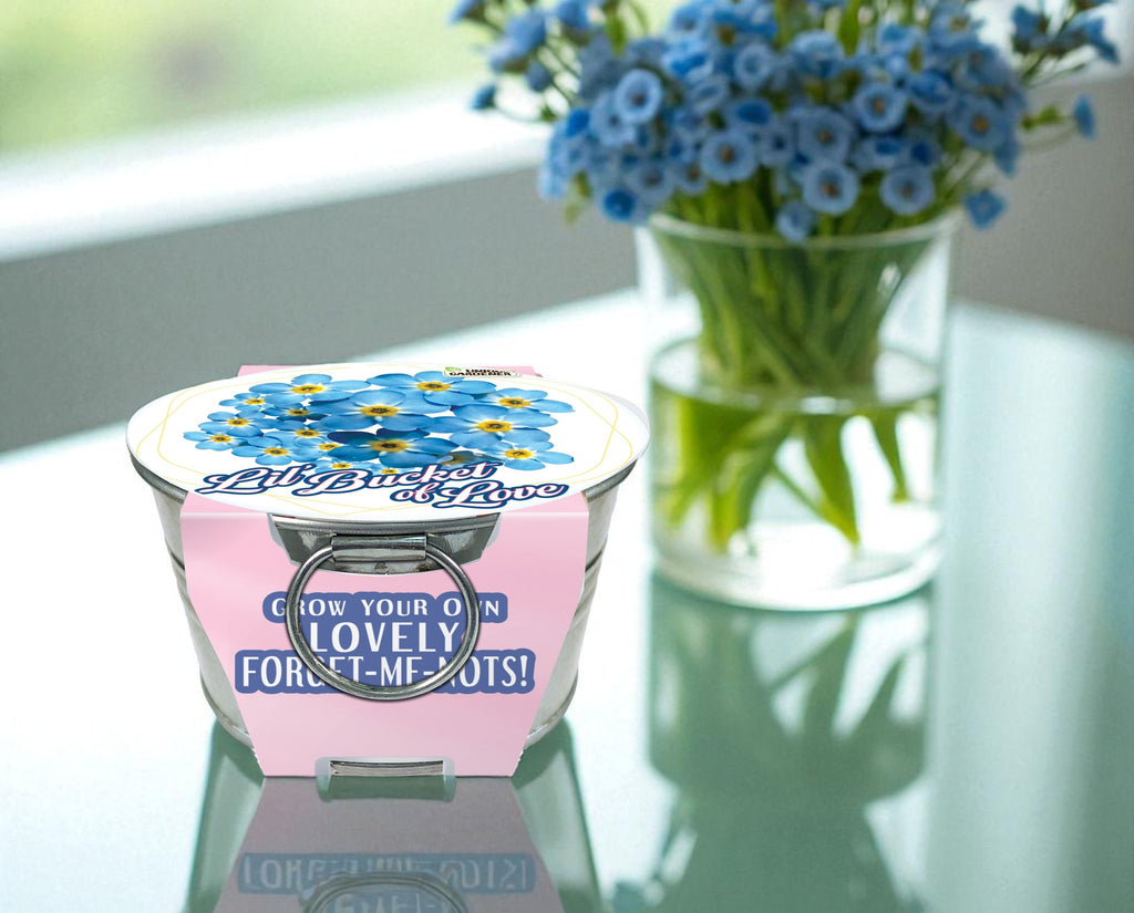 Lil' Bucket of Love - Grow Your Own Forget-Me-Nots Multipack of 3