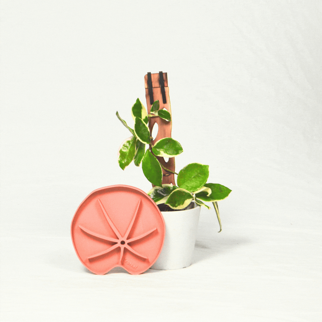 Lili™ Sausr - Lilly pad shaped Saucer - Spill tray - Drip tray for houseplants - Humidity tray