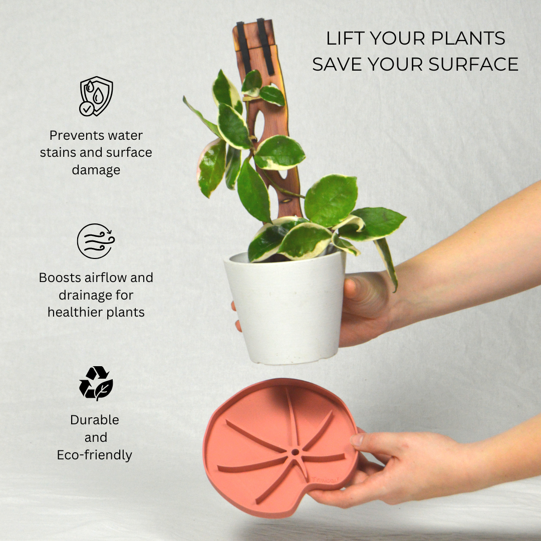 Lili™ Sausr - Lilly pad shaped Saucer - Spill tray - Drip tray for houseplants - Humidity tray