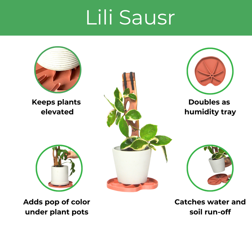 Lili™ Sausr - Lilly pad shaped Saucer - Spill tray - Drip tray for houseplants - Humidity tray