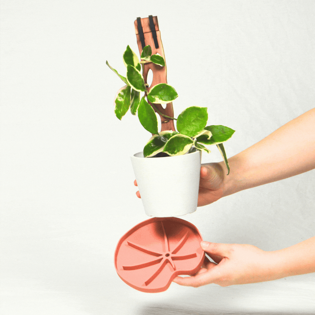 Lili™ Sausr - Lilly pad shaped Saucer - Spill tray - Drip tray for houseplants - Humidity tray