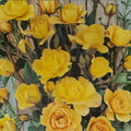 Climbing Golden Shower Rose – Daffodil Yellow Live Bush Plant | 1 Gallon Size | Everblooming Climbing Rose