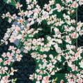 Geranium Tornado White Pelargonium Seeds | 100 Seeds | Cascading White Blooms | Sweet Scented | Basket & Container Friendly