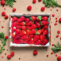 Eclair Strawberry Roots – 5 Live Strawberry Plants | Sweet Juicy Berries | Zones 5-10