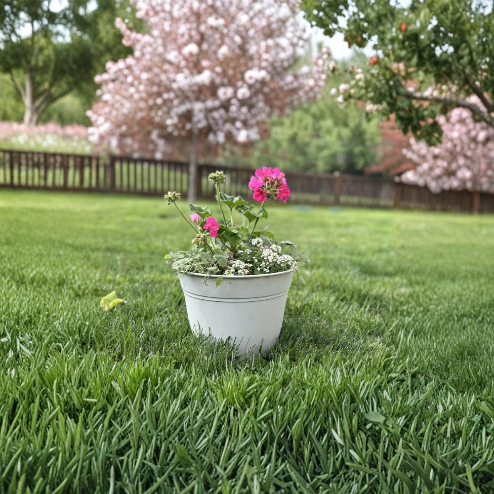 Spring Flower Planters – Ready to Display for Porch & Patio | Local Pickup