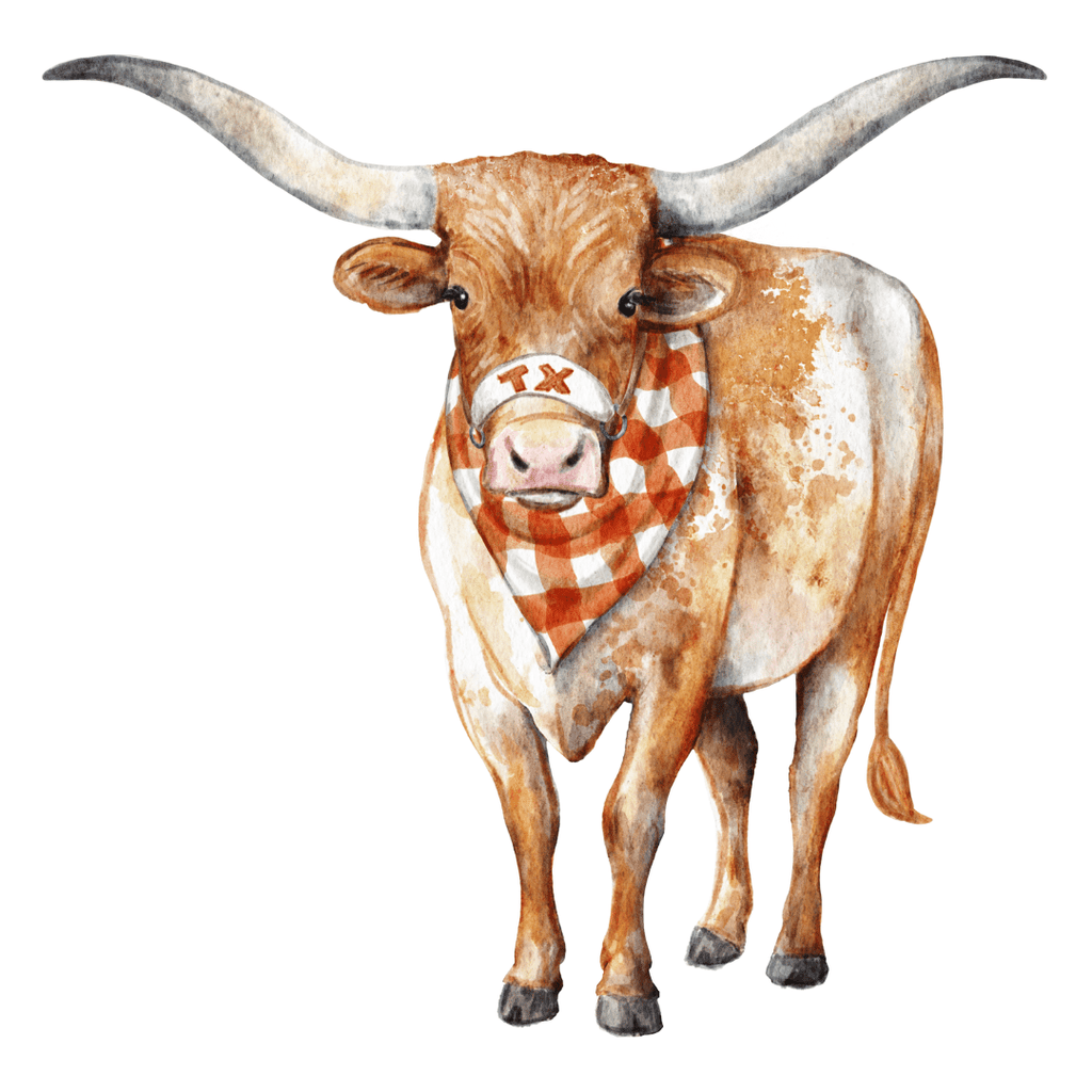 Lonestar Longhorn Garden Stake