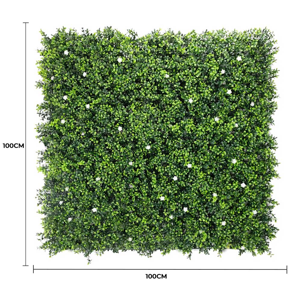 Sample Panel – White Flowering Boxwood Green Wall (Small Sample)