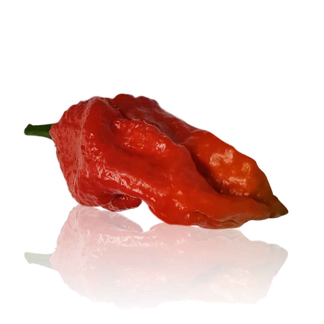 MA Mutant X Red Pepper Seeds