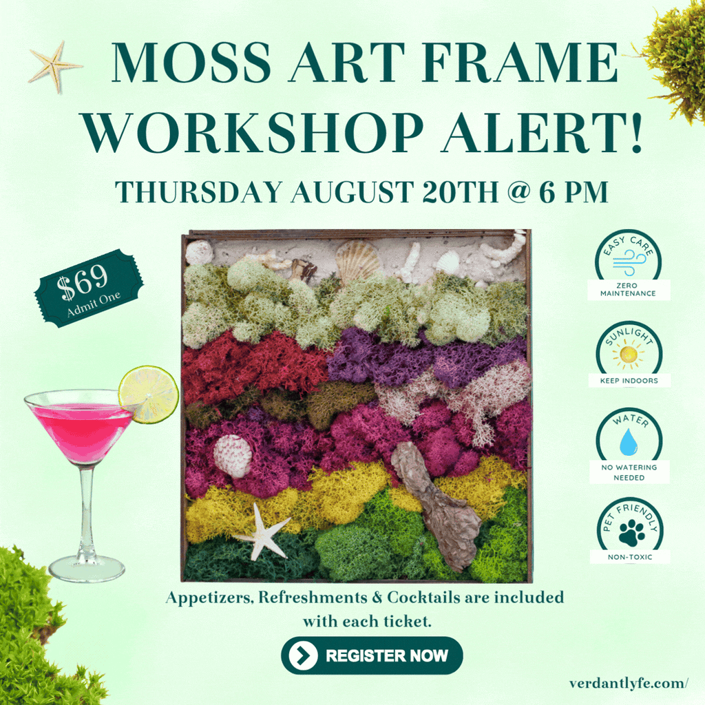 Moss Art Frame Workshop - August 20th at 6 PM