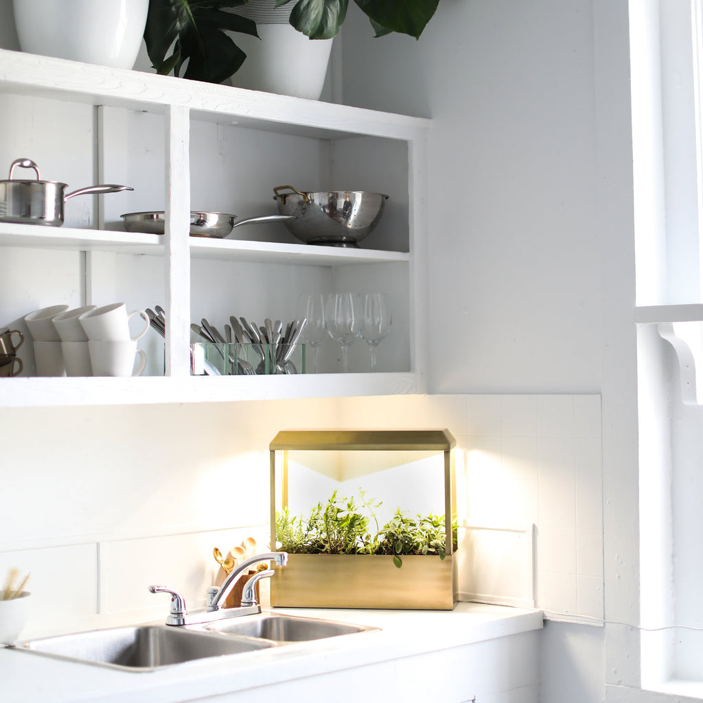 Smart Growhouse