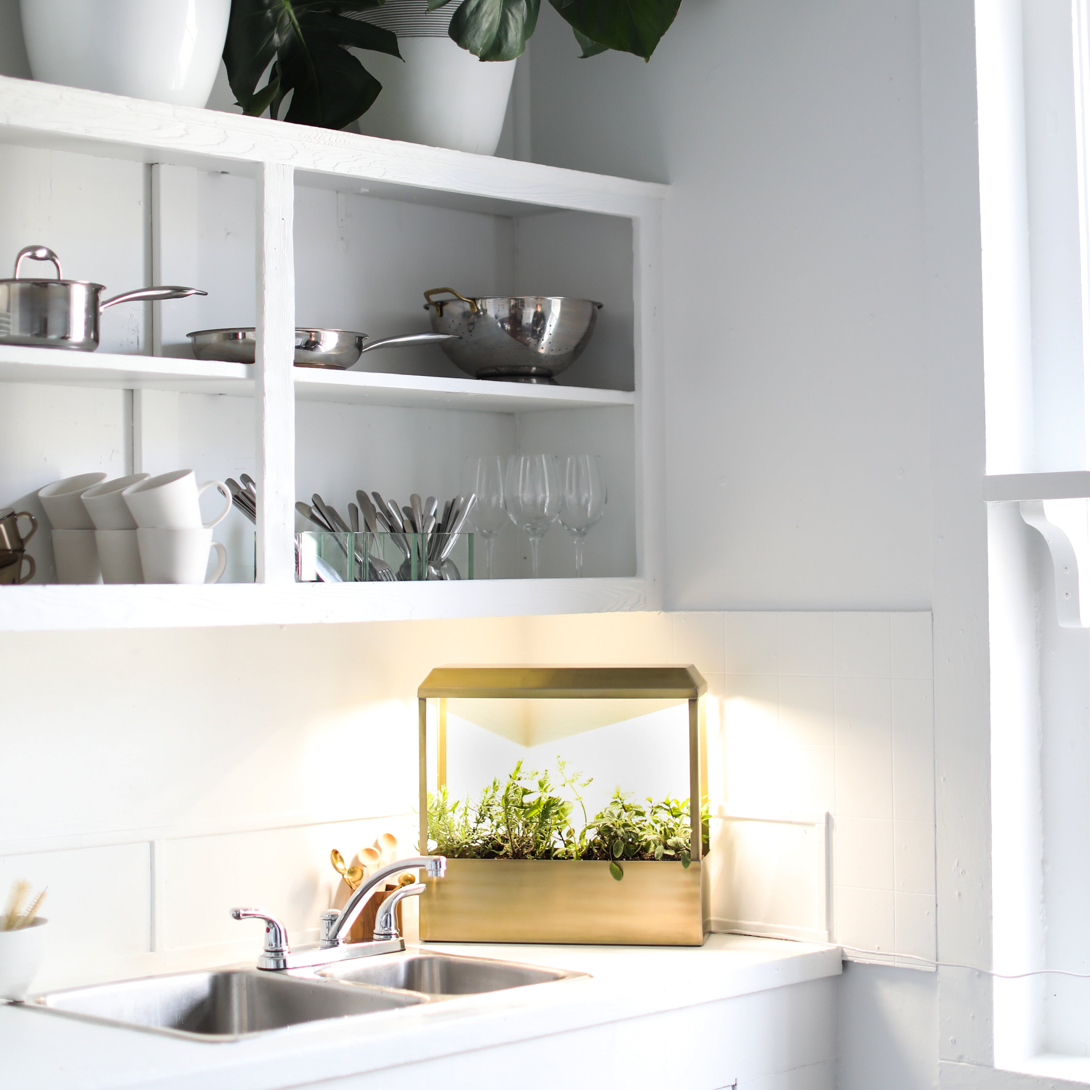 Smart Growhouse