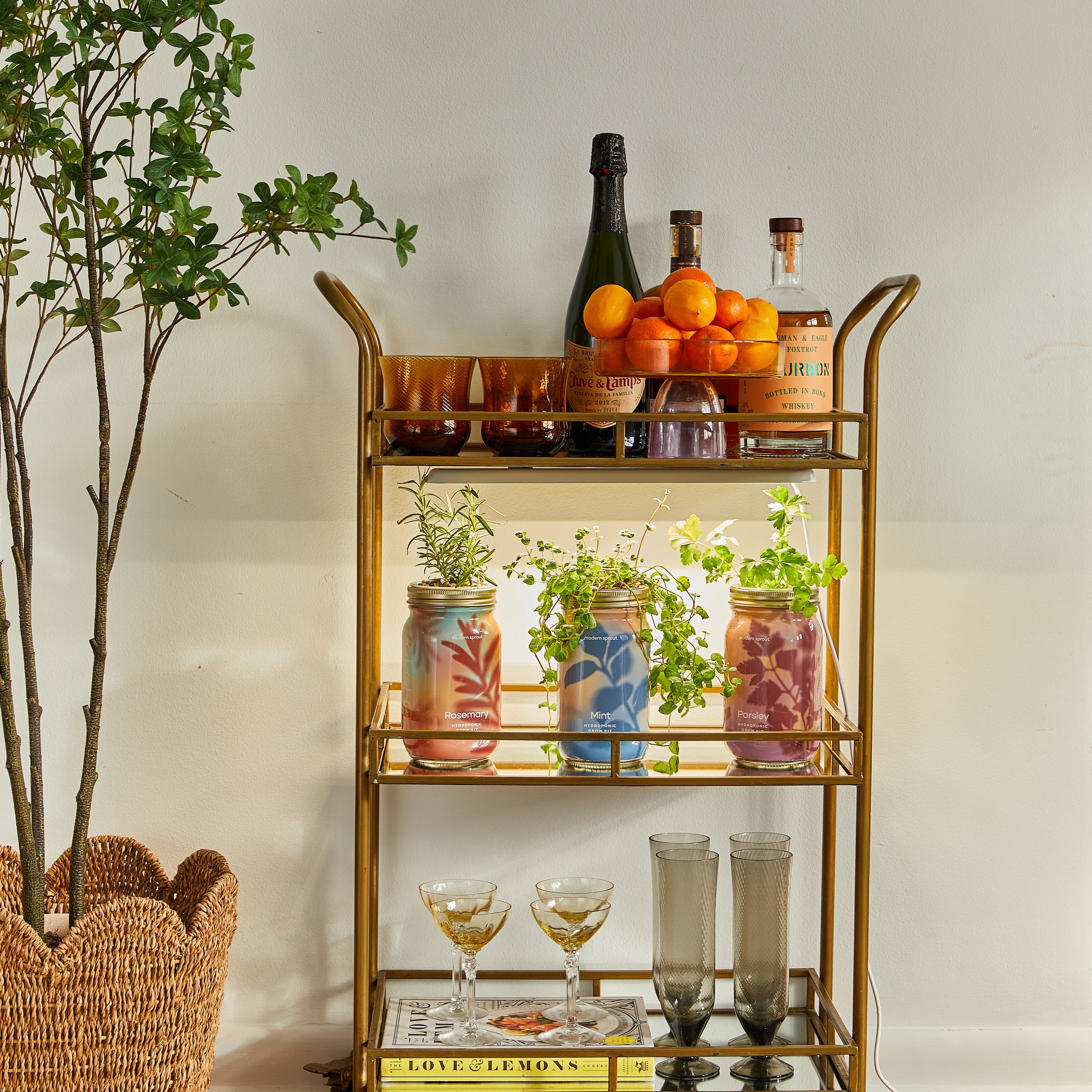 Smart Growbar