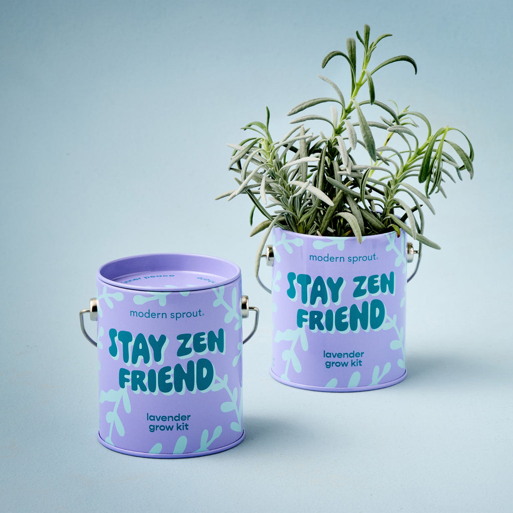 Complimentary Colors Grow Kits