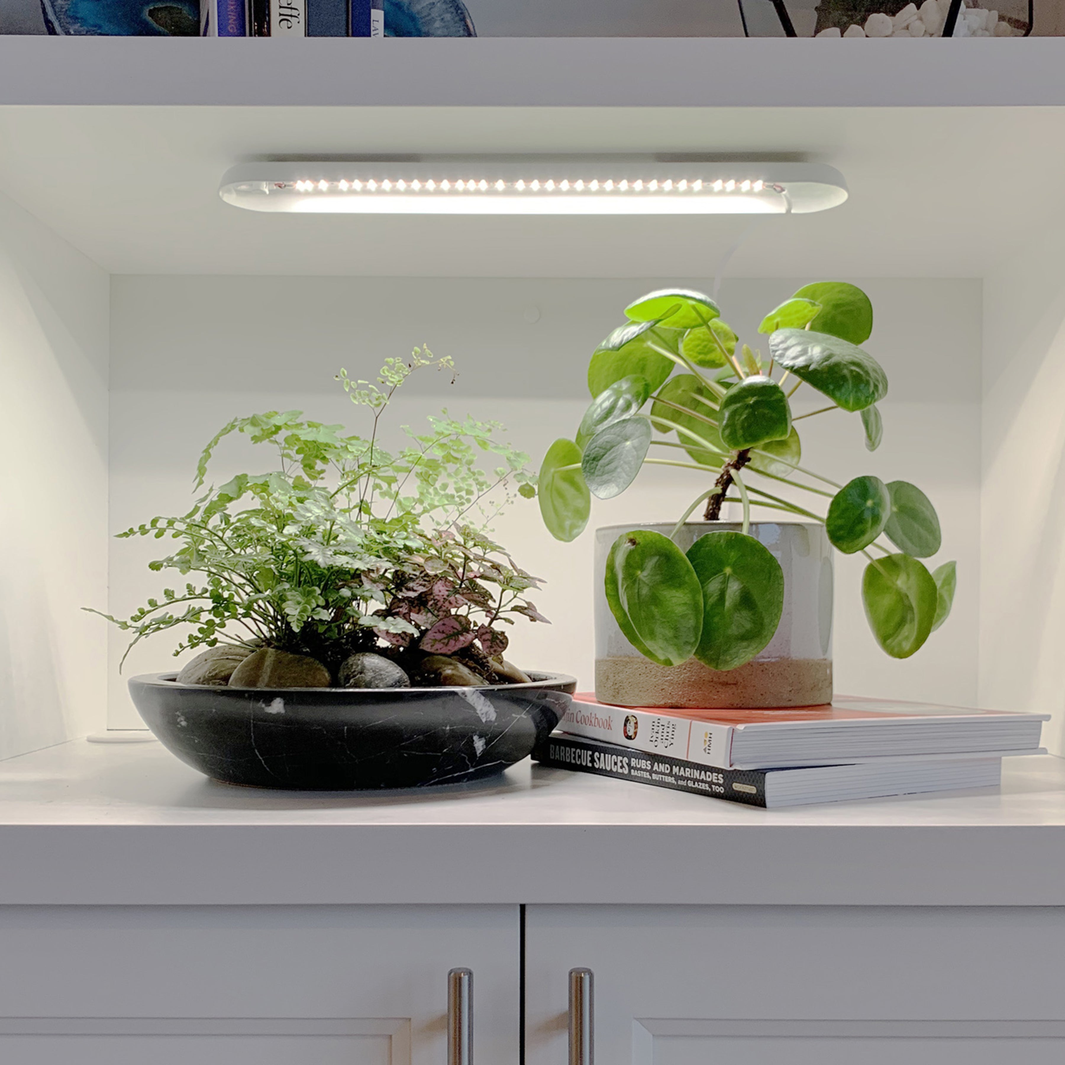 Smart Growbar