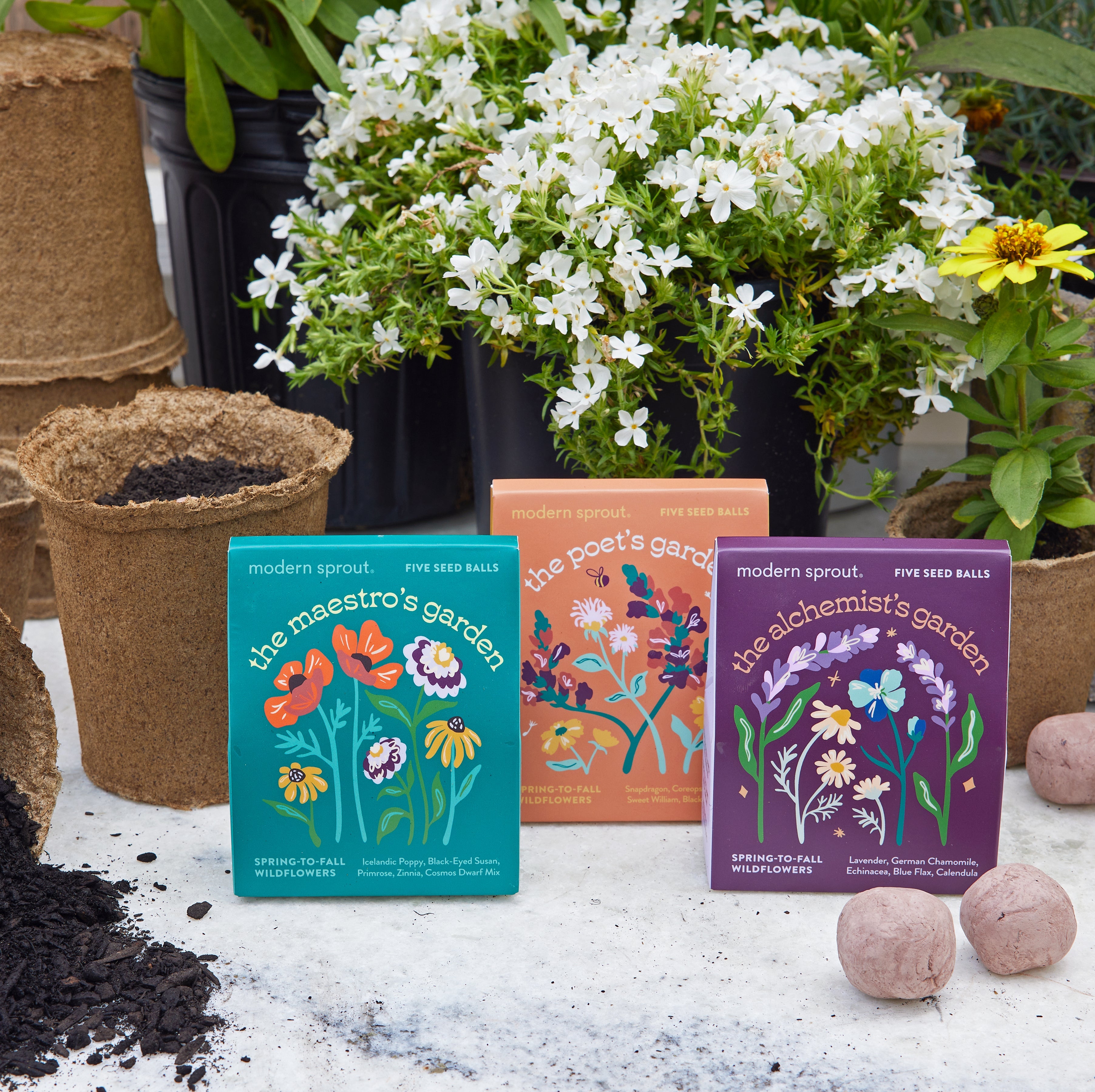 Bespoke Blooms Seed Balls