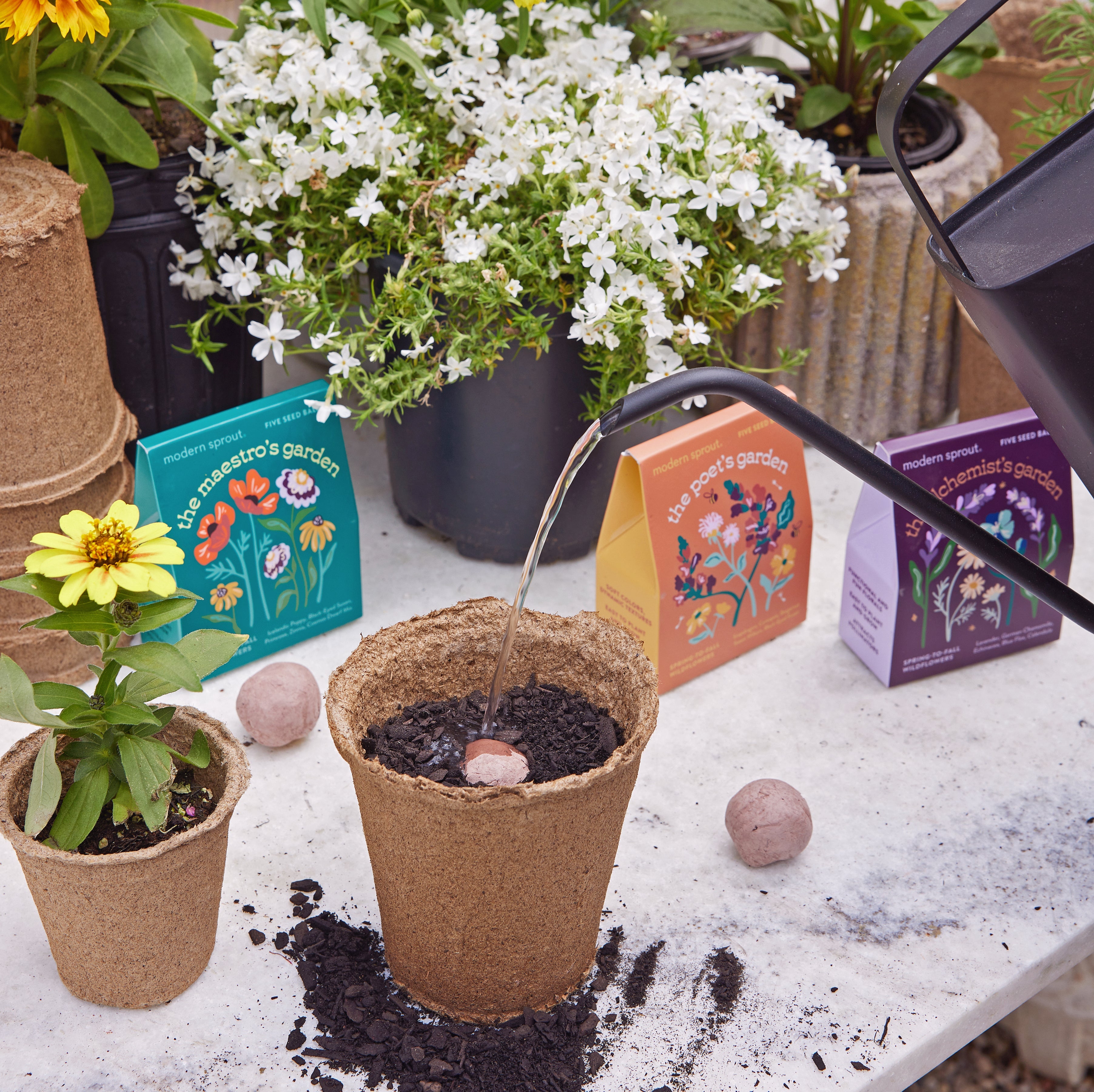 Bespoke Blooms Seed Balls