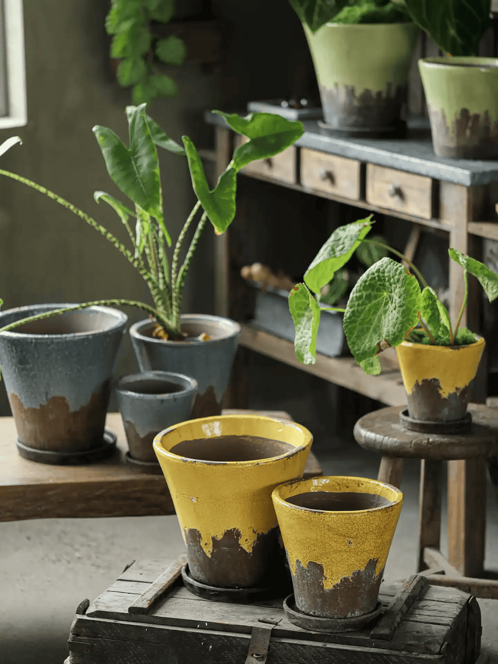 Weathered Heritage Flower Pot with Saucer