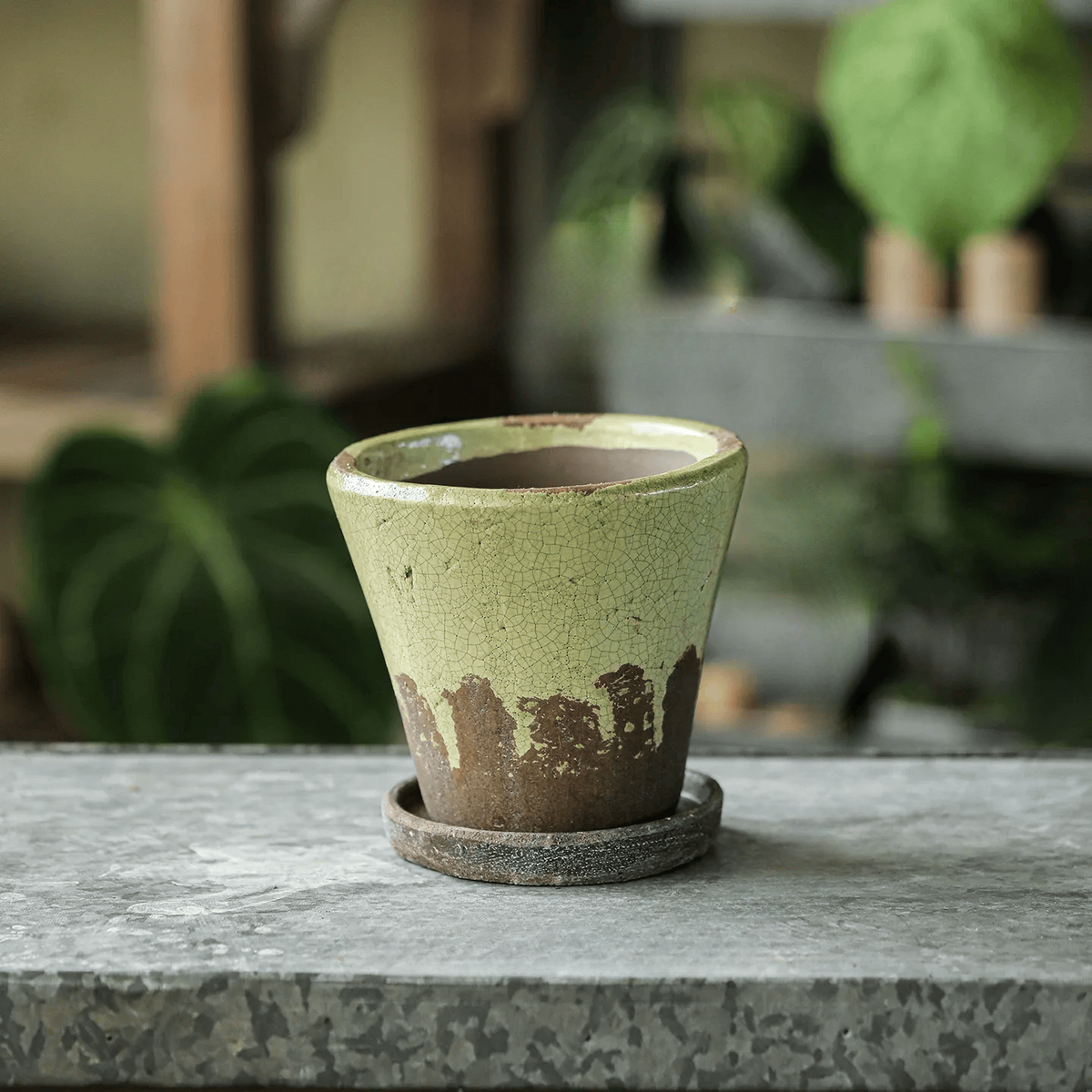 Weathered Heritage Flower Pot with Saucer