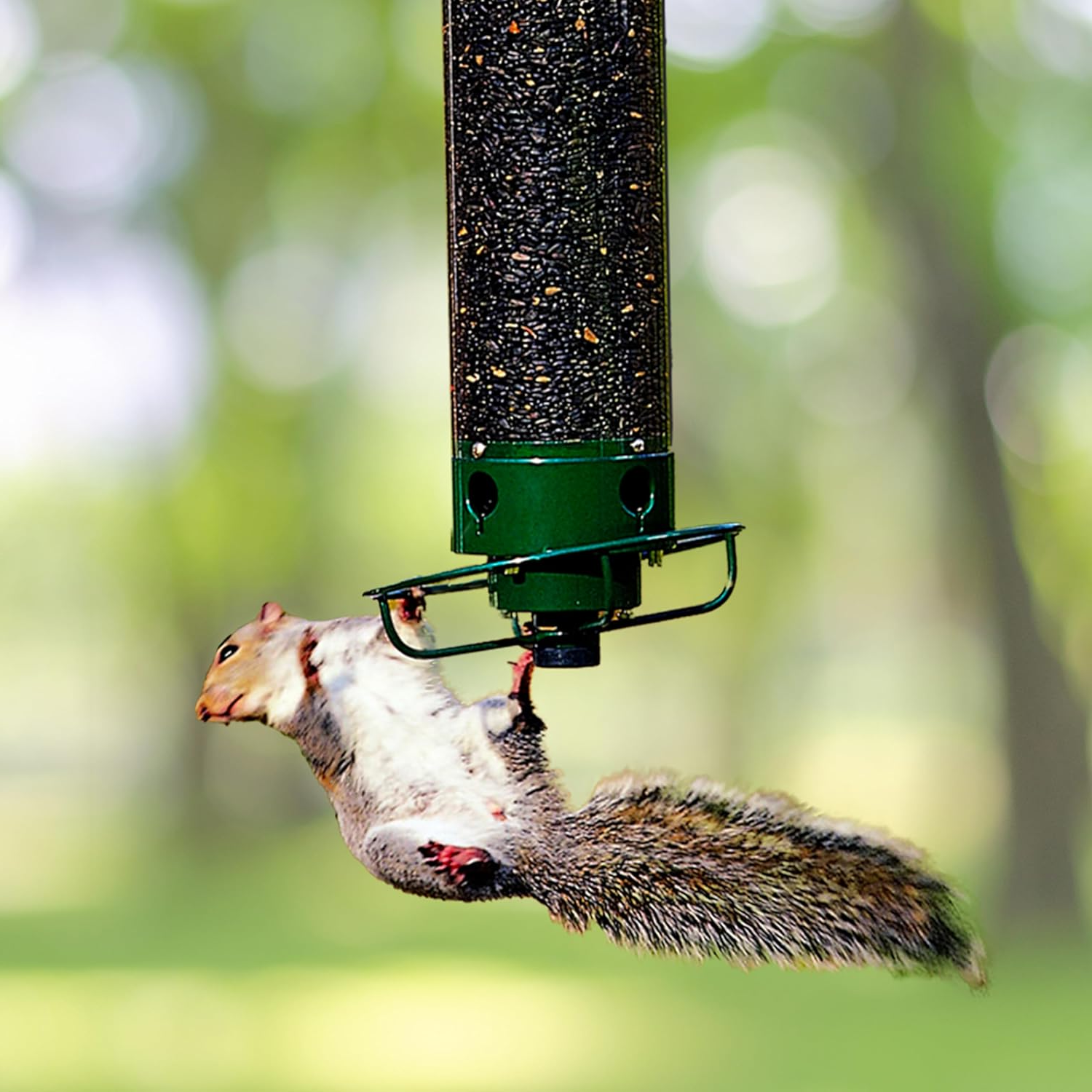 Squirrel Proof Bird Feeder Hanging Metal Wild Bird Seed Feeder 35cm