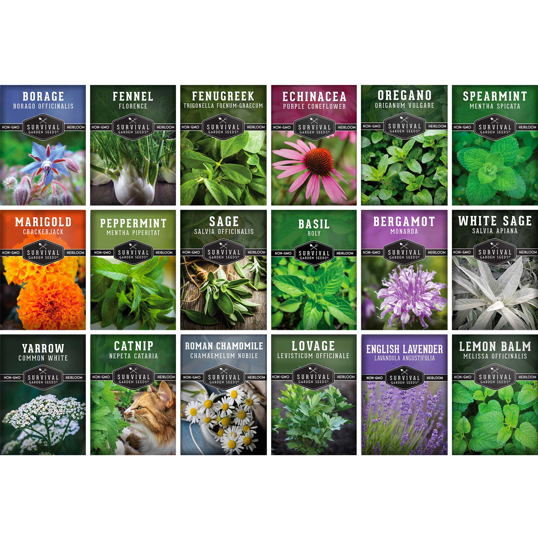 Medicinal Herb Garden Seed Collection – 18 Heirloom Non-GMO Varieties