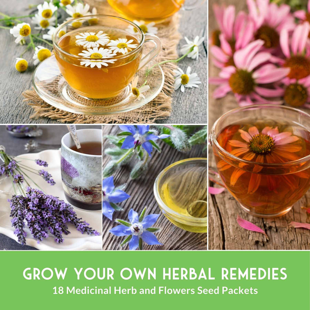 Medicinal Herb Garden Seed Collection – 18 Heirloom Non-GMO Varieties