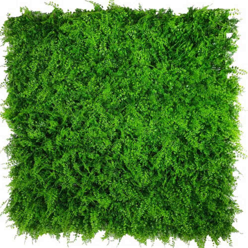 Sample Panel – Lush Fern Green Wall (Small Sample)
