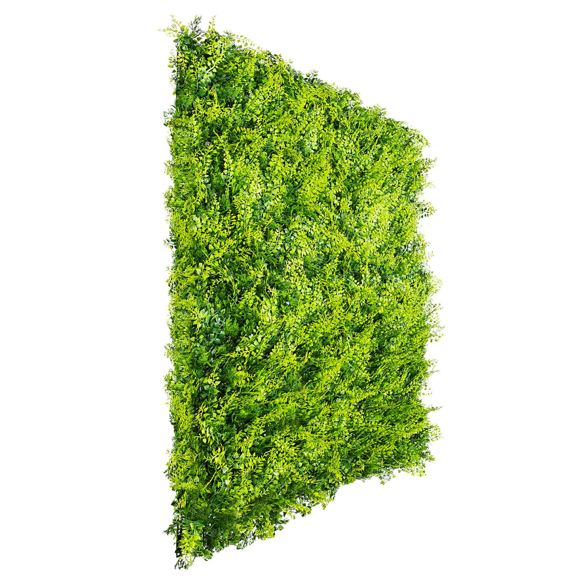 Sample Panel – Lush Fern Green Wall (Small Sample)