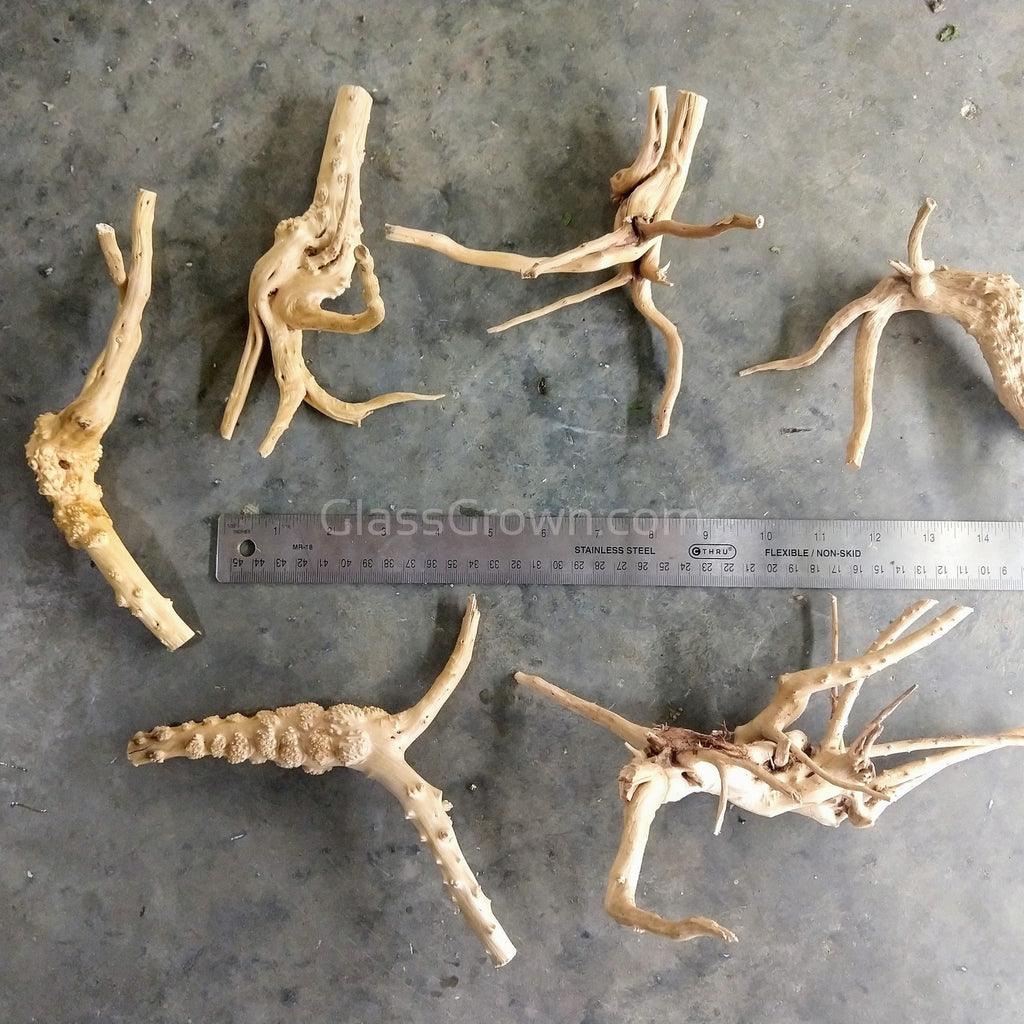 Spiderwood Driftwood Medium (6-10")