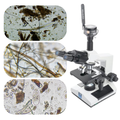 Microbiology Testing