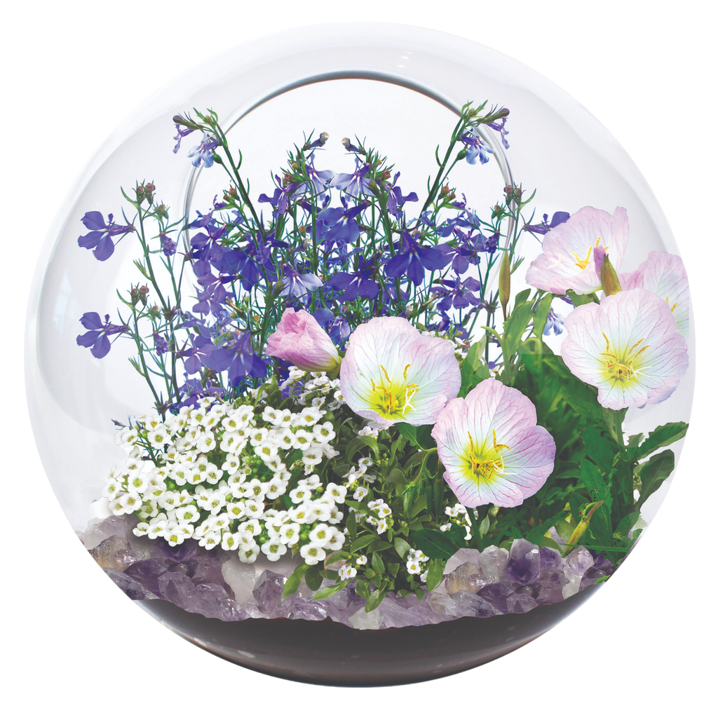 Fairy Triad Glass Terrarium Seed Starting Kit