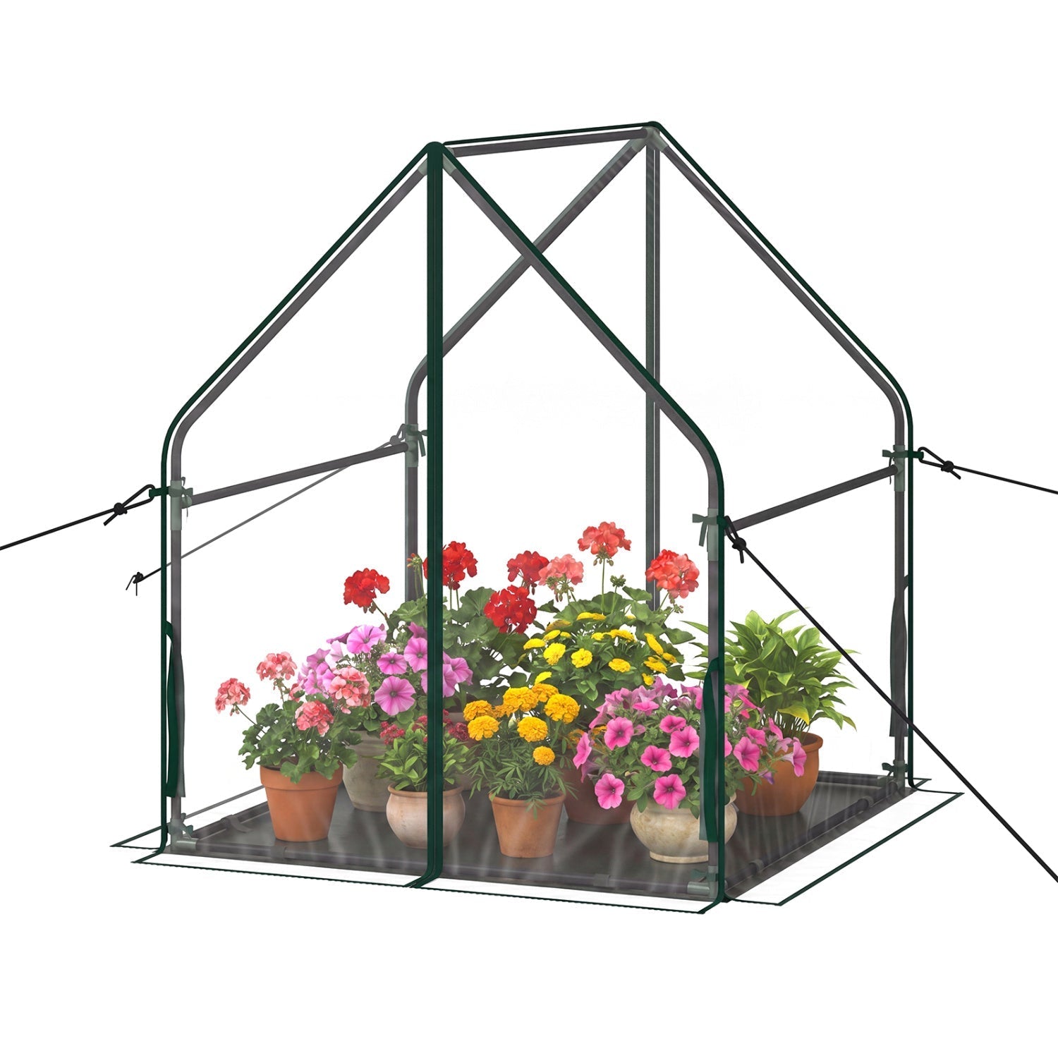 Mini Greenhouse with Metal Frame and Waterproof Cover