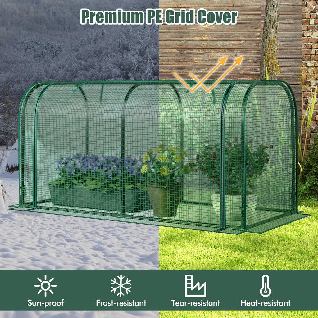 Mini Tunnel Greenhouse with Roll-up Zipper Door
