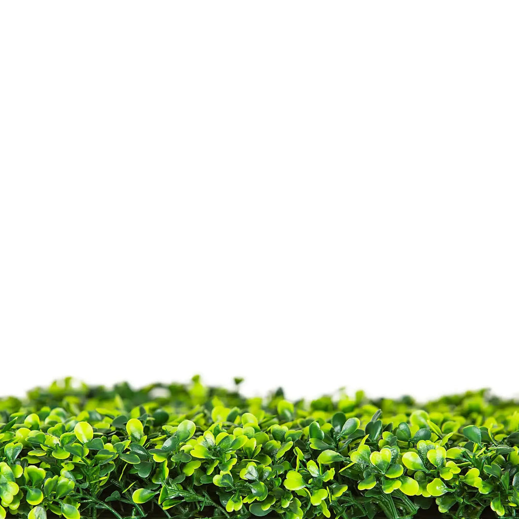 Sample Panel – Mixed Boxwood Green Wall (Small Sample)