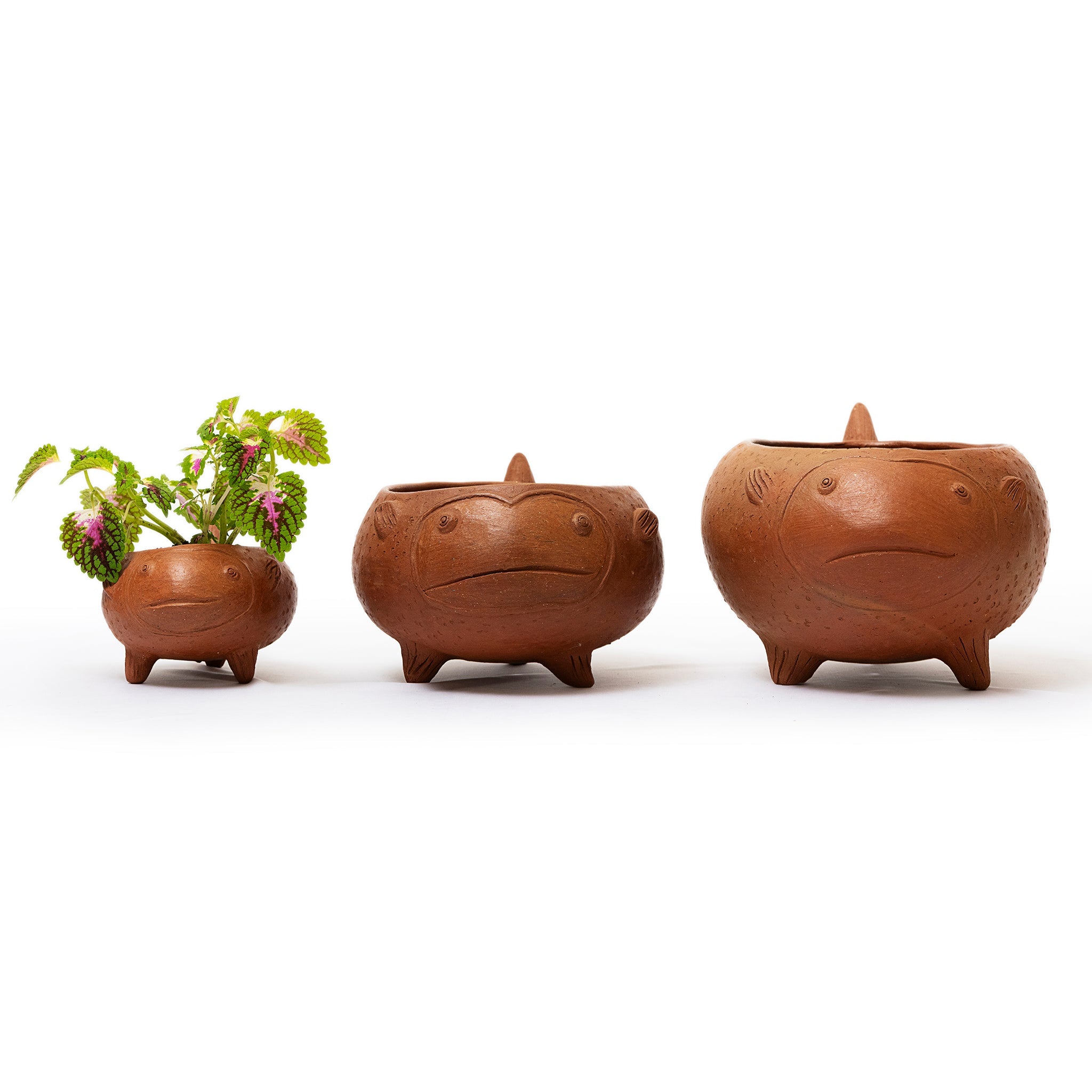 Los Peces Planters