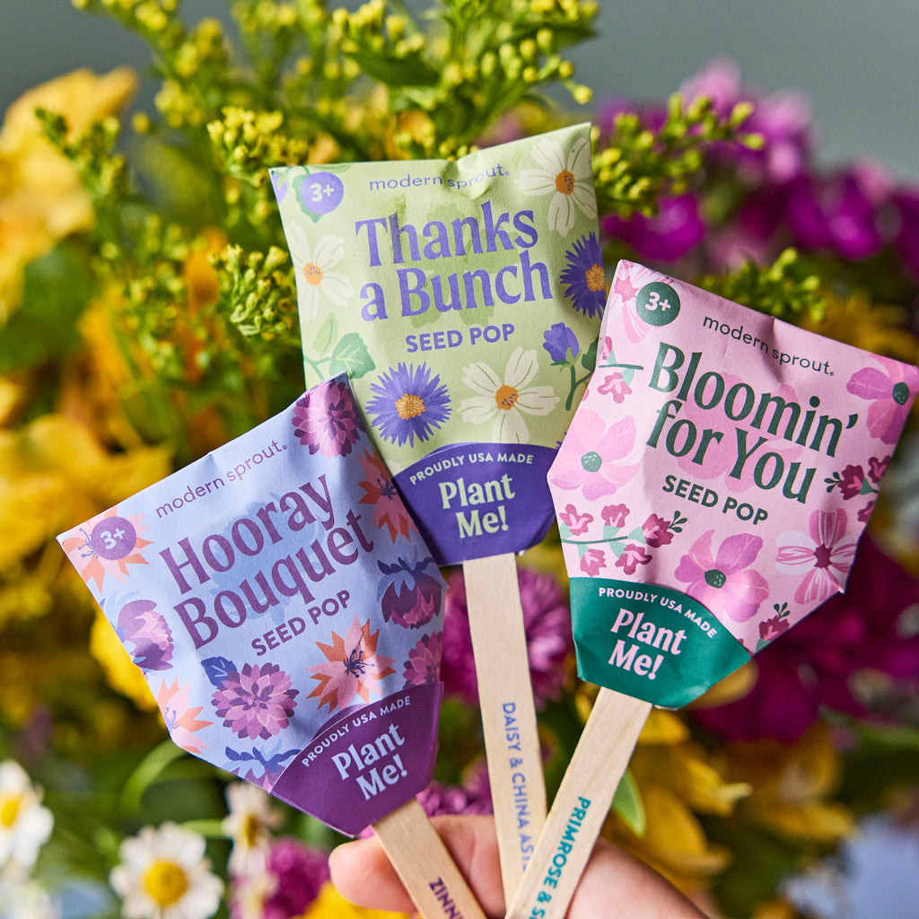 Seed Pops - Flowers