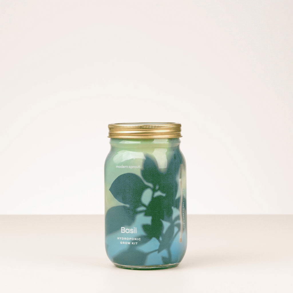 Garden Jars - Organic Herbs