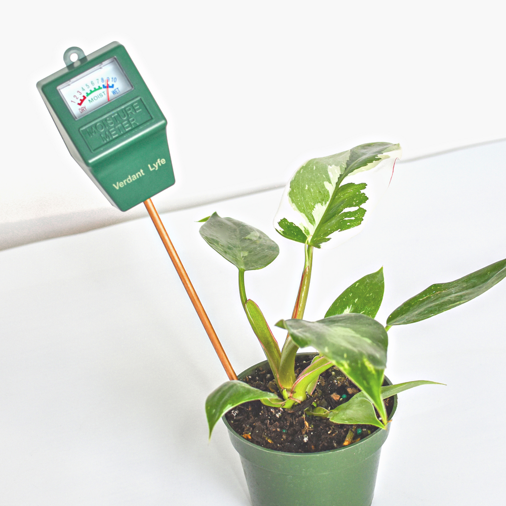 Soil Moisture Meter Overwatering Plant Saver