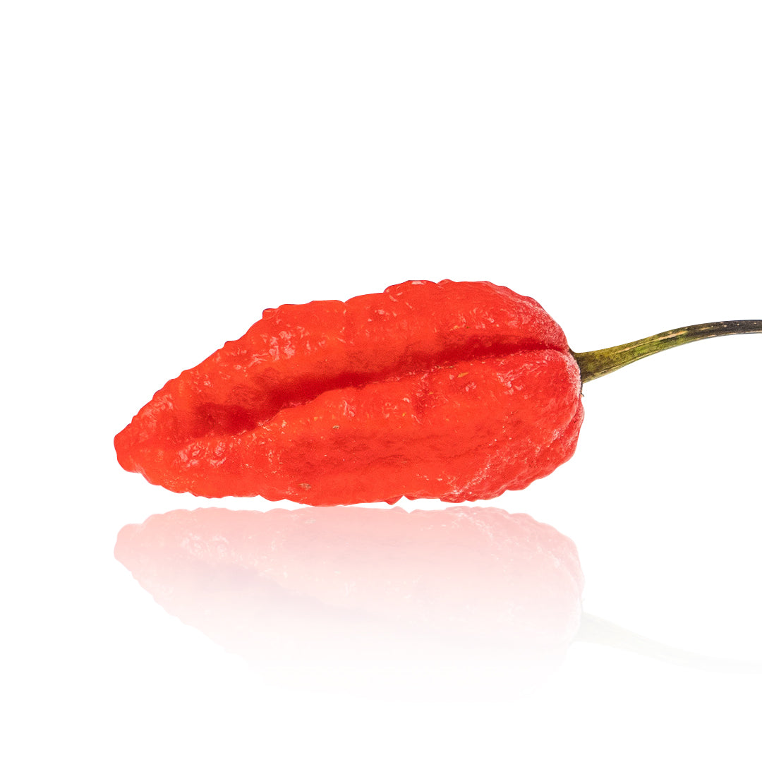 Mojo Pumpkintail Chili Pepper Seeds