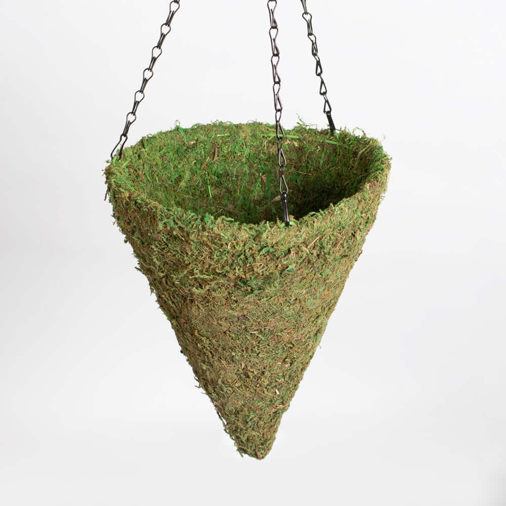 Green Preserved Moss Hanging Cone Basket Triangle Planter